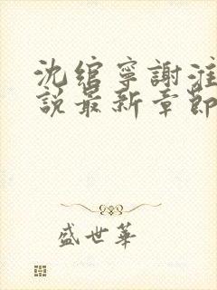 沈绾宁谢淮今小说最新章节免费阅读