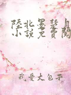 陆北墨楚月离的小说免费阅读无弹窗