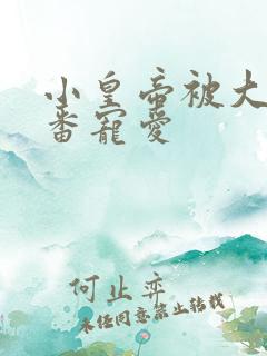 小皇帝被大臣轮番宠爱