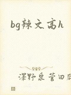 bg辣文高h
