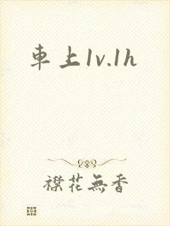 车上1v.1h