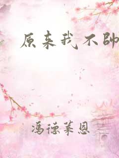 原来我不帅小说