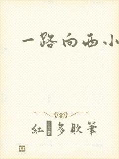 一路向西小说