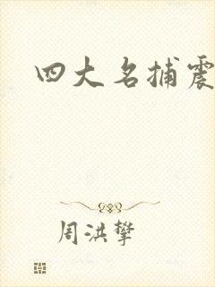 四大名捕震关东