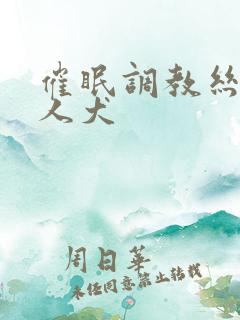催眠调教丝袜美人犬