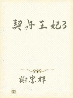 契丹王妃3