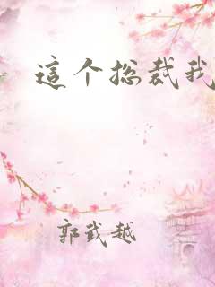 这个总裁我要了