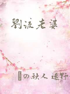 刘流老婆