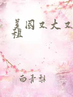 美国又大又长又租