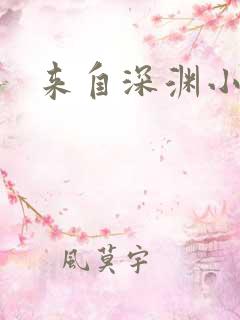 来自深渊小说