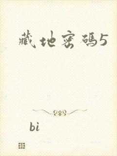 藏地密码5
