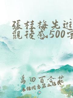 张桂梅先进事迹观后感500字