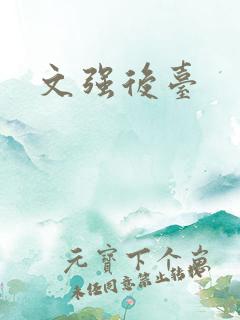 文强后台