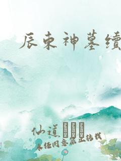 辰东神墓续集