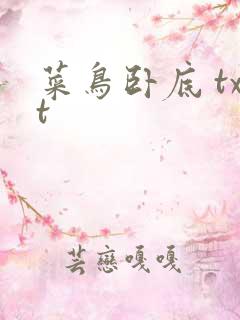 菜鸟卧底 txt