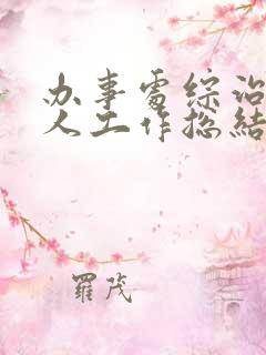办事处综治办个人工作总结
