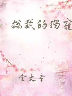 总裁的独宠