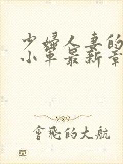 少妇人妻的欲欲小军最新章节