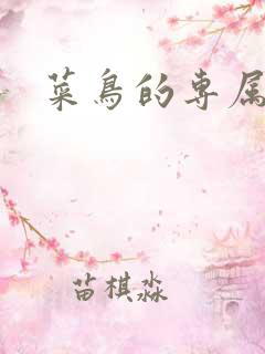 菜鸟的专属大神
