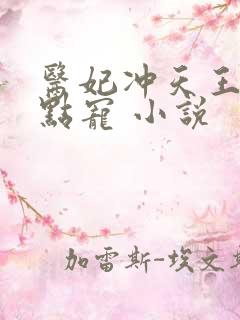 医妃冲天王爷轻点宠 小说