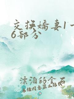交换娇妻1一36部分