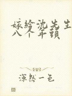 嫁给沈先生的第八个年头