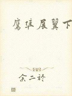 鹰隼展翼下载