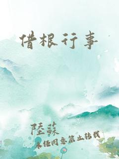 借根行事