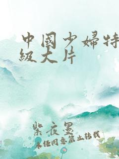 中国少妇特黄一级大片
