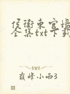 侯卫东官场笔记全集txt下载