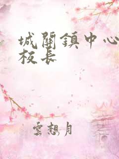 城关镇中心小学校长