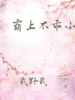 霸上不乖小逃妻