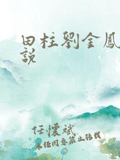 田柱刘金凤的小说