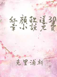 红颜政道300章小说免费阅读