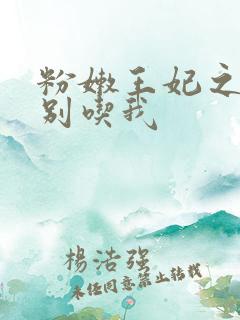 粉嫩王妃之殿下别吃我