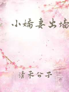 小娇妻出墙记