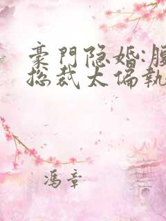 豪门隐婚:腹黑总裁太偏执