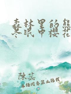 森林里的熊先生冬眠中樱花动漫