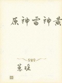 原神雷神黄本本