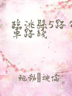 临洮县5路公交车路线
