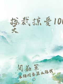 总裁掠爱100天