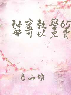 秘密教学65在哪可以免费阅读
