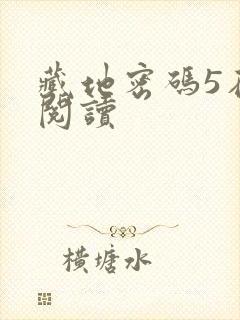 藏地密码5在线阅读