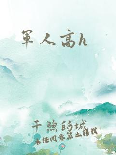 军人高h