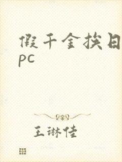 假千金挨日记npc
