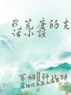 我荒唐的支教生活小说