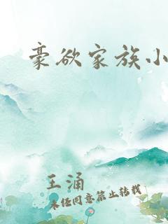 豪欲家族小说