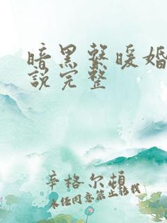 暗黑系暖婚 小说完整