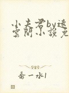 小夫君by远上云间小说免费阅读