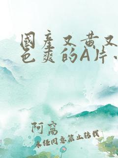 国产又黄又大又色爽的A片小说